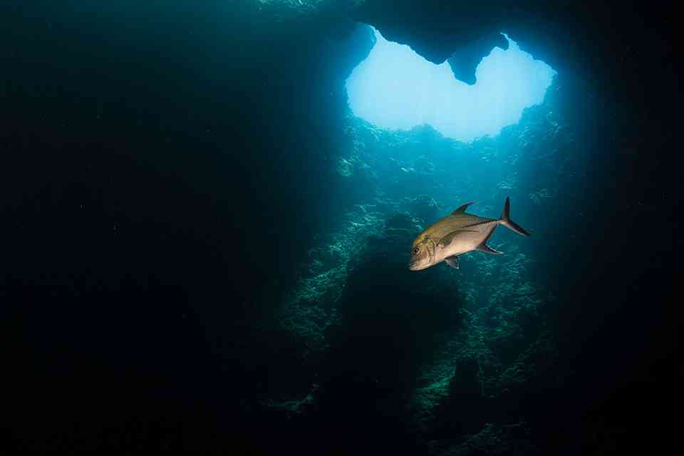 UK ETA for Palauan Citizens featured image